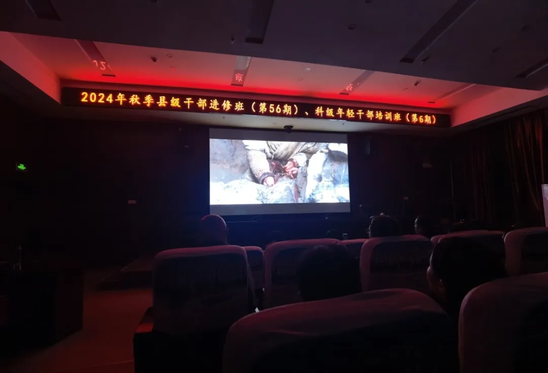 图片1(11).png